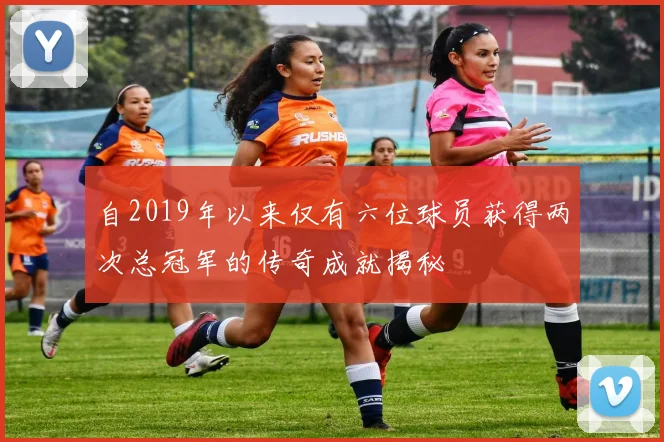 自2019年以来仅有六位球员获得两次总冠军的传奇成就揭秘
