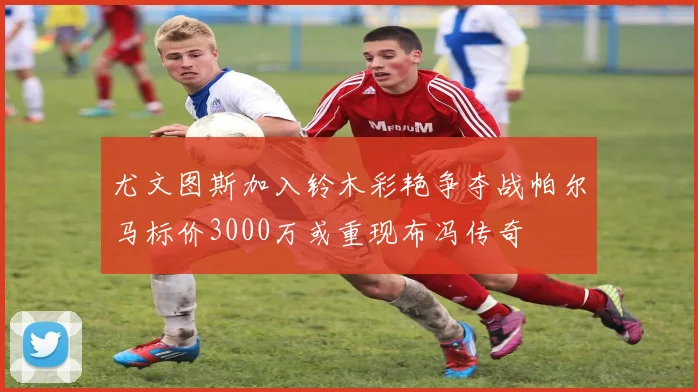 尤文图斯加入铃木彩艳争夺战帕尔马标价3000万或重现布冯传奇
